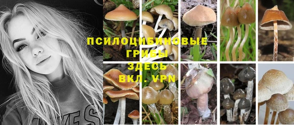 мдпв Дмитров