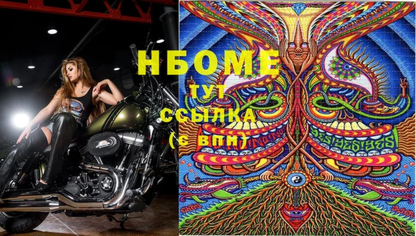 мдпв Дмитров