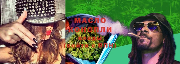 мет Дмитриев