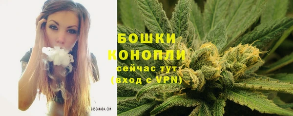 мдпв Дмитров