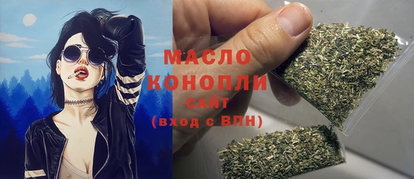 мет Дмитриев