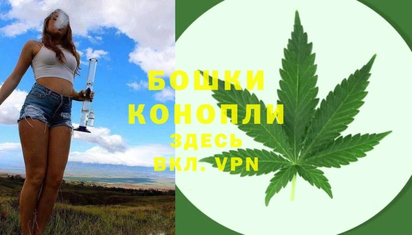 мет Дмитриев