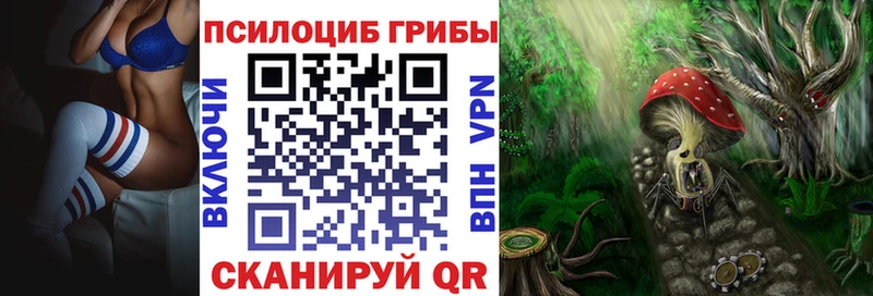 Псилоцибиновые грибы ЛСД  Купить где  Порхов 